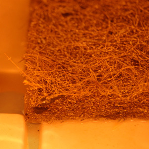 Coconut fiber mat