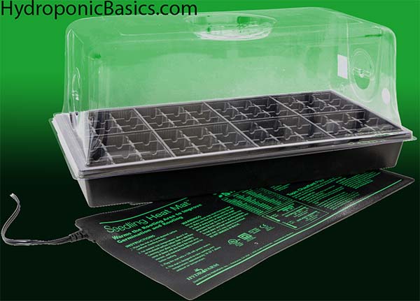 Seedling Tray and Dome